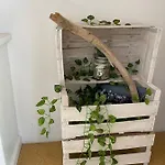 Volare Apartament *